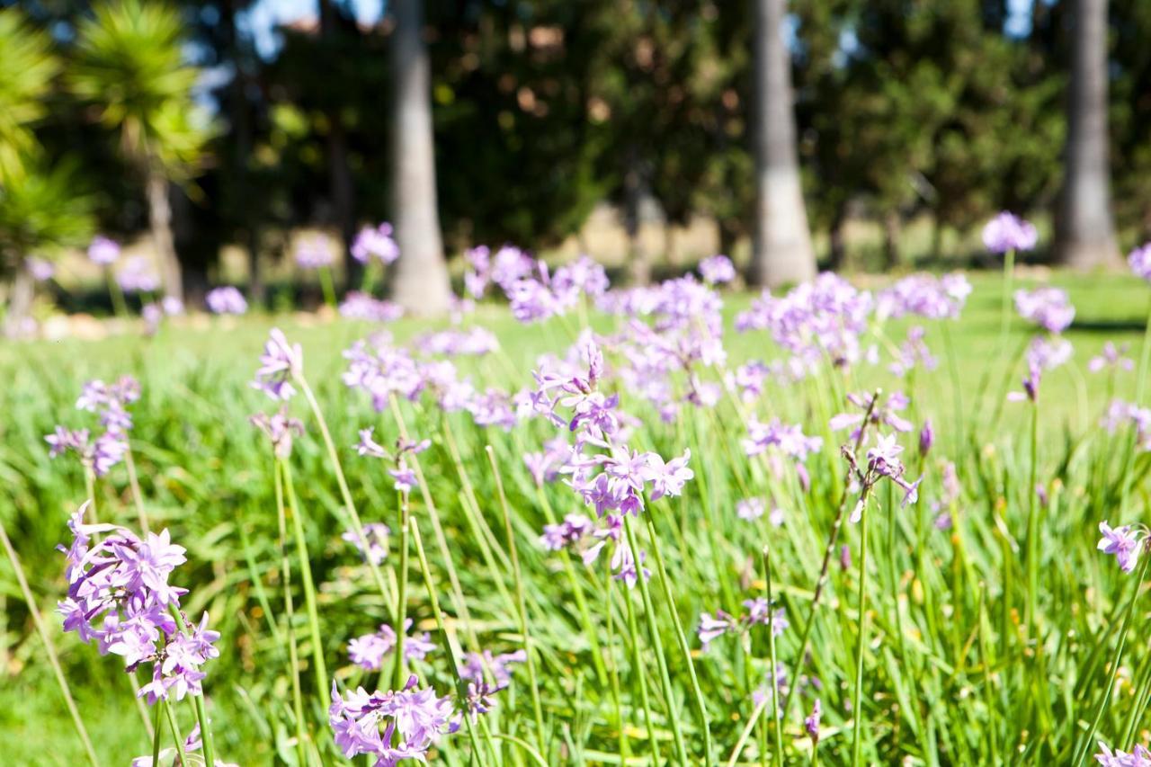 Вилла S'Hort De Son Caulelles - Adults Only Marratxi Экстерьер фото