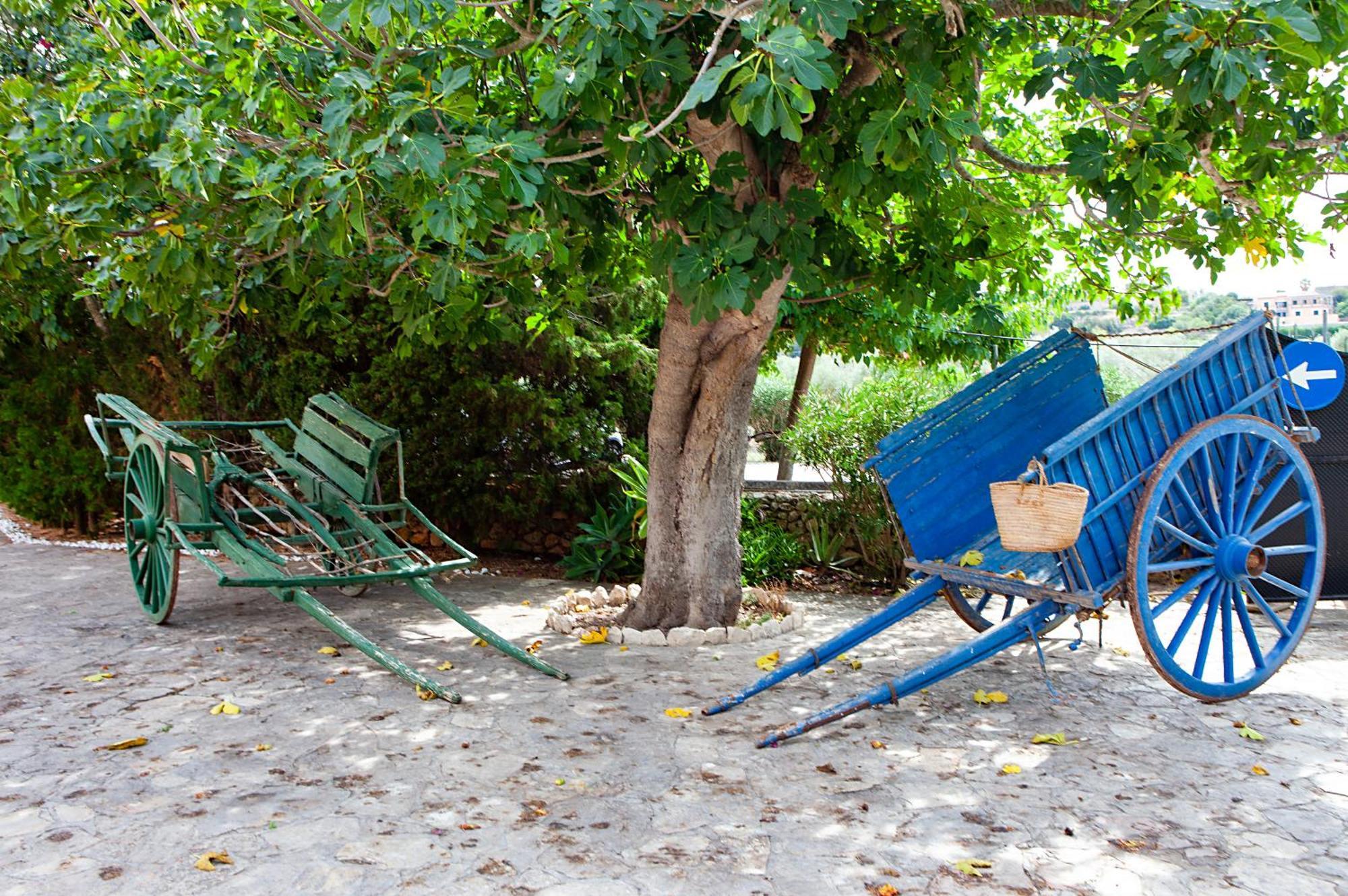 Вилла S'Hort De Son Caulelles - Adults Only Marratxi Экстерьер фото
